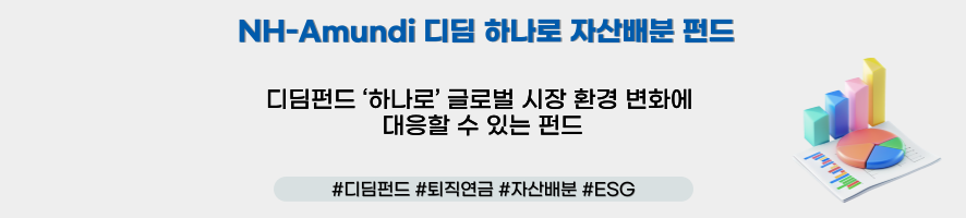 NH-Amundi 디딤 하나로 자산배분 펀드 ㅣ 디딤펀드 '하나로' 글로벌 시장 환경 변화에 대응할 수 있는 펀드 #디딤펀드 #퇴직연금 #자산배분 #ESG