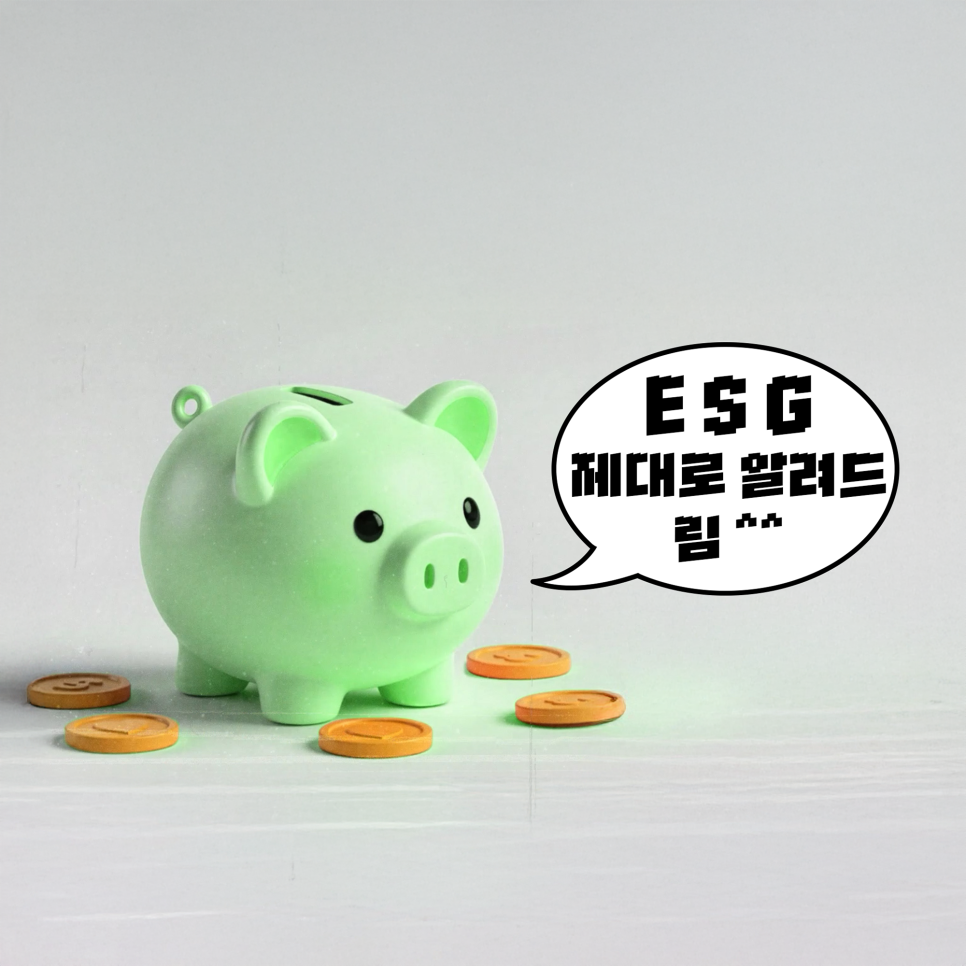 [알도니] "착한 기업이 돈도 잘 번다?" 숫자로 증명하는 ESG 투자의 정체